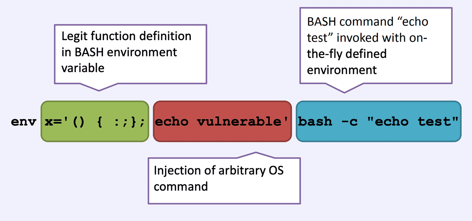 the Bash shell explained